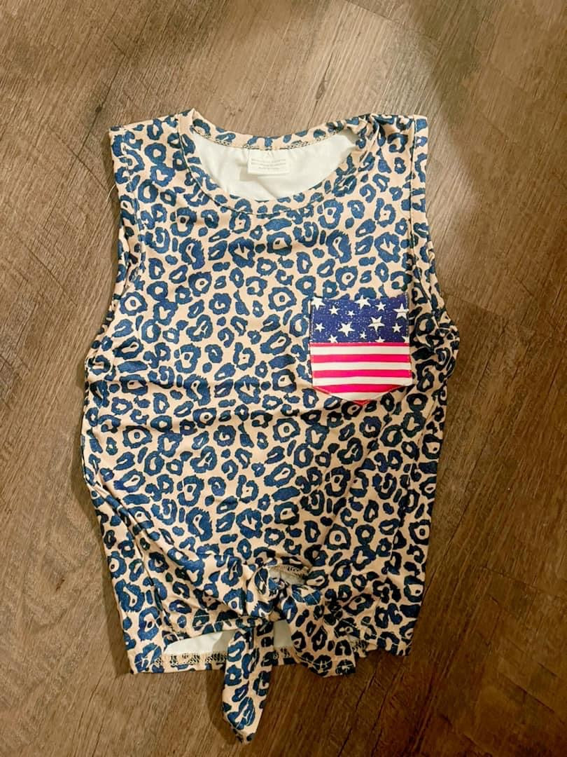 Cheetah American Tank